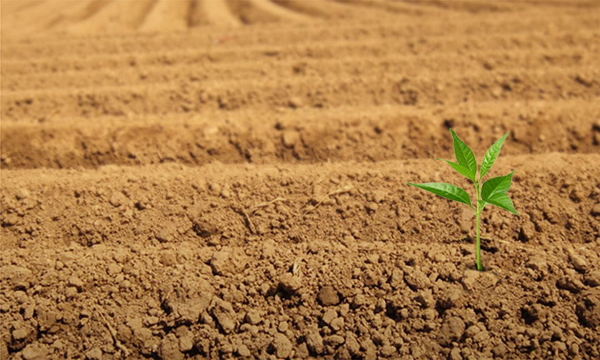 Yang Perlu Dilakukan untuk Menyehatkan Tanah Kembali