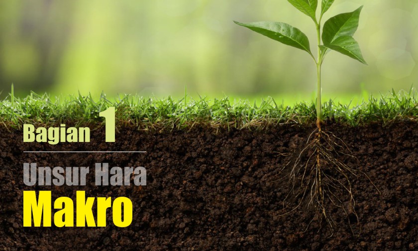 Unsur-unsur Hara MAKRO dan Karakteristiknya