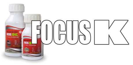 FOCUS K